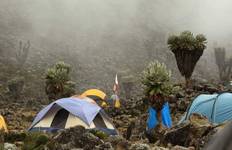 Circuit Ascension du Mont Kilimandjaro par la route de Rongai 8 jours - tous les hébergements et transports sont inclus