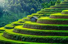 Circuit La beauté du nord du Vietnam en 8 jours