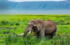 5-Days Tanzania Luxury Safari & Experience  Materuni waterfall Tour