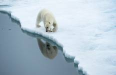 Westsvalbard Reise