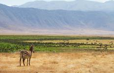 Tansania & Sansibar - 10 Tage Reise