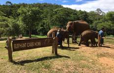Circuit L'expérience de l'éléphant en Thaïlande : Protection des animaux, conservation et Trek dans la jungle