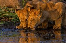 Chobe & Okavango Delta 8Days/7Nights Tour
