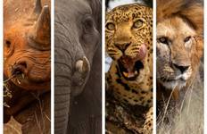 Circuit Safari d'aventure Cheetah Classic en Tanzanie **Approche durable du voyage