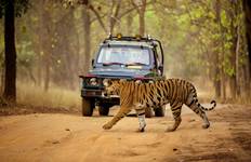 05-Days Golden Triangle Tour with Ranthambore Jungle safari!! Tour