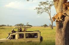 Circuit Grand safari en Afrique de l'Est (gorilles et migration)