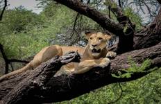 Taste of Namibia 7 Days DEPARTING MONDAYS AND WEDNESDAYS **Sustainable Approach to Travel Tour