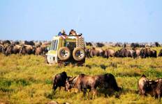 Circuit 6 jours Masai Mara/Parc national du Serengeti et cratère du Ngorongoro