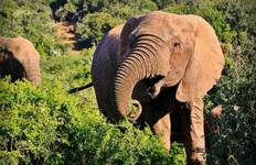 Circuit Aventure familiale au Kruger, aux chutes Victoria et à Chobe 7jours/6nuits