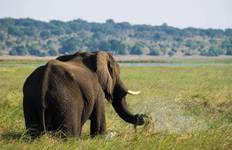 12 Tage/ 12 Nächte Victoria Falls, Kruger Park, Chobe, Kapstadt Südliches Afrika Entdeckung (inkl. Inter-Tour Flüge) Reise
