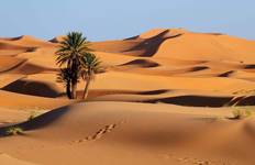 Chegaga-Wüste ab Agadir inklusive Kamelritt und Berber-Wüstencamp - 3 Tage Reise