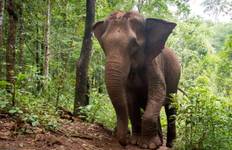 Circuit Cambodge 20 jours - Culture, Nature, Faune et Plages