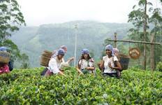 Circuito Tesoros culturales y maravillas naturales, el esplendoroso camino de Sri Lanka