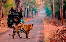 Circuit Rajasthan Wildlife Tour au départ de Delhi 9 Nuits 10 Jours