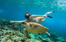 Best of Bali - Feel Free Travel Tour