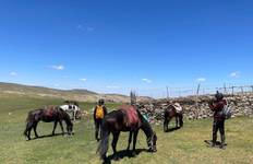 Circuit Équitation en Ouzbékistan