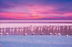 12 Days Chilean Wonders: Santiago, Atacama, and Uyuni Expedition Tour