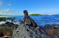 5 Day Galapagos Wildlife Discovery: 2 Uninhabited Islands Tour