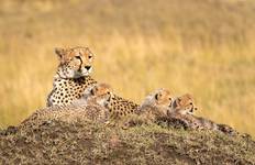 Classic East Africa Tour