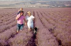 Grand France with 3 Nights in London for Wine Lovers (Northbound) 2025 Tour