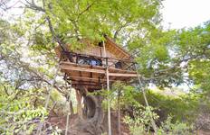 3 Day Lodge and Treehouse Kruger Park Safari Tour