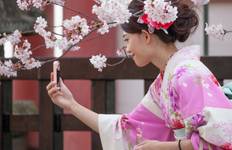 Circuit Le meilleur du Japon : De Tokyo à Osaka (avec guide privé, hôtels 4 étoiles)