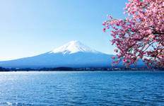 Circuit Circuit des fleurs de cerisier au Japon (circuit privé sur mesure)