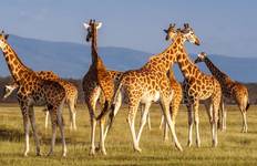 Highlights of Kenya & Tsavo Extension Tour
