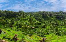Bali & Java: Vulkan Hike zum Glamping Adventure Reise