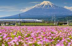 Japan: From neon light to monk chanting Tour