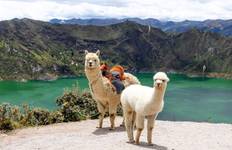 8 Days in Ecuador's Heartland: From Mountains to Hot Springs Tour