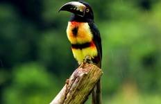 Costa Rica Preisknaller Reise
