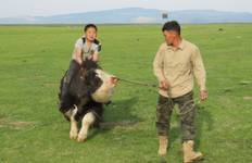 Circuito La auténtica experiencia mongola