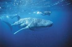 Perth nach Exmouth und zurück Reise