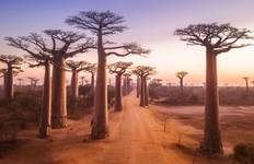 Madagaskar Lemuren & Baobabs Reise