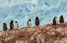 Circuit Expédition Antarctique et Malouines | En direction du Nord (2025)