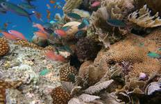 Circuit Exploration du Honduras - 14 jours/13 nuits