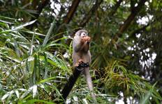 Circuit Aventure familiale de 10 jours en Équateur : Les hauts plateaux andins, Baños et les contreforts de la forêt amazonienne