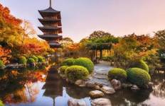 Circuit Découvrez le Japon avec un petit budget : 8 jours pour commencer