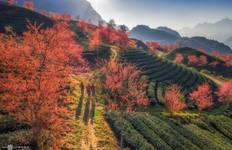 Jewels of the North 7 Days in Hanoi, Sapa, Halong Tour