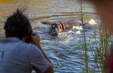 5- Days Tanzania Safari Experience Tour