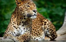 Highlights of Sri Lanka Tour