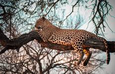 Kenia & Tansania Safari 10 Tage Reise