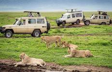 Discover The Best Of The Best 5-Day Tanzania Budget Safari 2025-2026 From Arusha