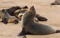 9 Day Etosha, Skeleton Coast and Sossusvlei  Camping & Lodge Safari * DEPARTING SATURDAYS Tour