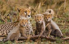 Real Southern Africa (26 destinations) Tour