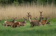 Circuit Aventure dans les Balkans