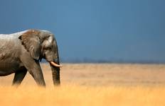Namibia Discovery (from Cape Town to Windhoek) Tour