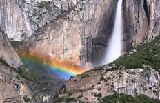 California Dreamin': Monterey, Yosemite & Napa (Monterey, CA to San Francisco, CA) (2025) Tour