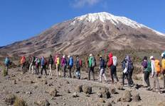 Best 7 Days Group Budget Kilimanjaro Climb via Lemosho Route from Moshi